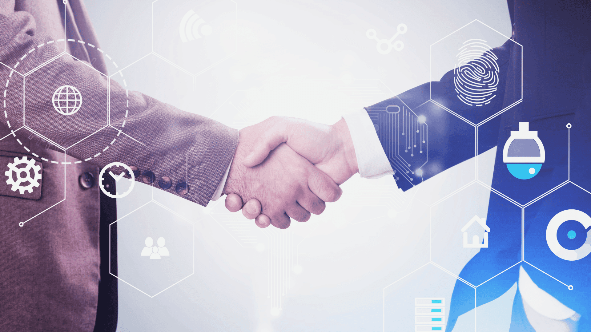 Shelter digital solutions